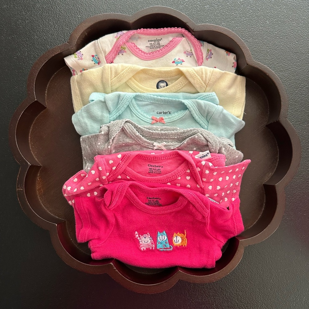 Newborn Girls Bodysuits ~ Mixed Brands Set of 6